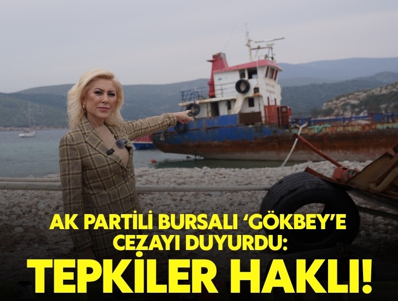 AK Partili Bursalı'dan 'Gökbey' açıklaması: Tepkiler haklı!