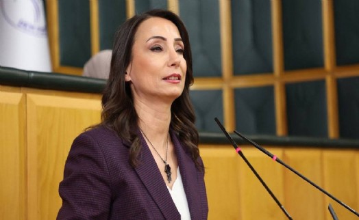 DEM Partili Hatimoğulları: Süreci üç temel adım üzerine inşa edebiliriz