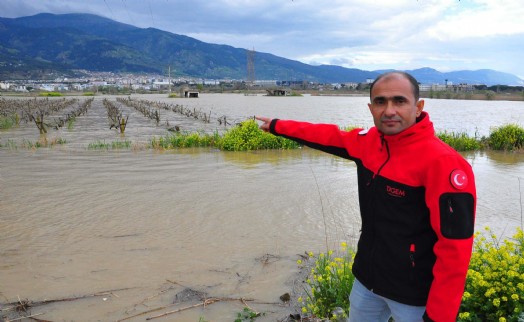 Gediz Nehri ikinci kez taştı üzümde tehlike büyük!