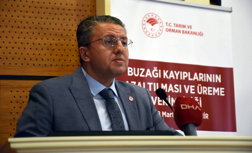 İzmir’de buzağı kayıplarına karşı eğitim seferberliği: Stratejik öneme sahip