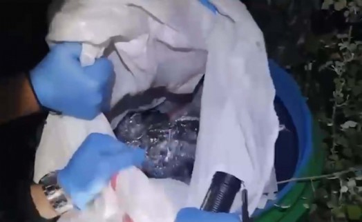 İzmir'de silah operasyonu: 149 ruhsatsız tabanca ele geçirildi!