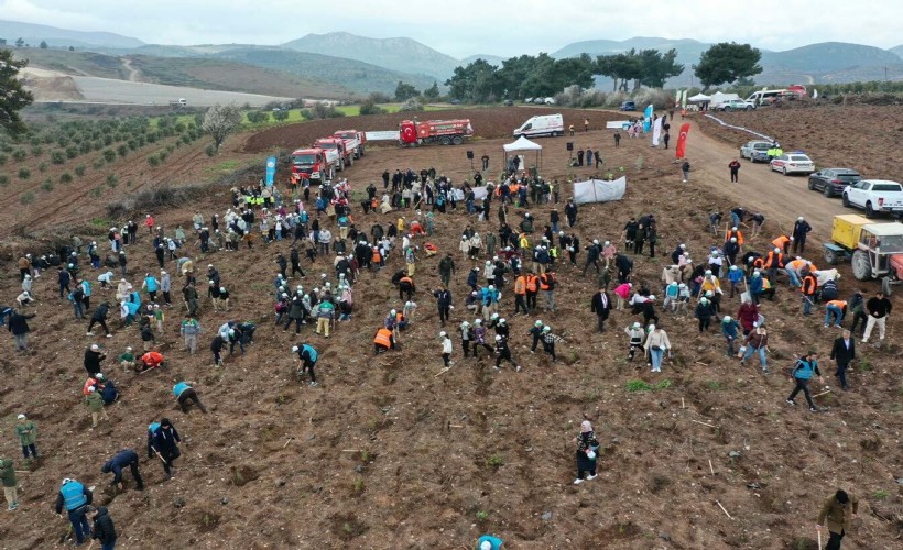 Manisa'da 2 bin 500 fidan toprakla buluşturuldu
