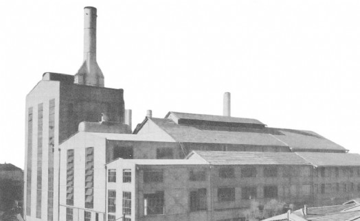 ŞPO'dan 'elektrik fabrikası' tepkisi: Ranta teslim edilemez!