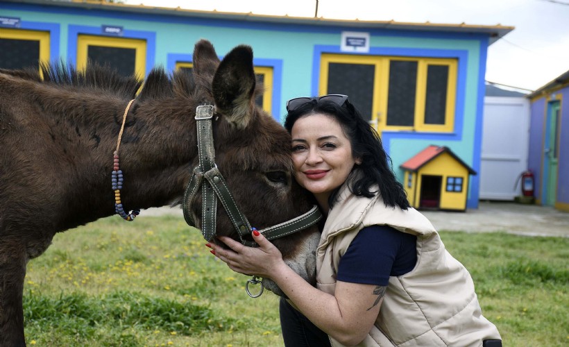 Saplandığı çamurdan kurtarılan eşek 'Fıstık' koruma altında