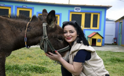 Saplandığı çamurdan kurtarılan eşek 'Fıstık' koruma altında