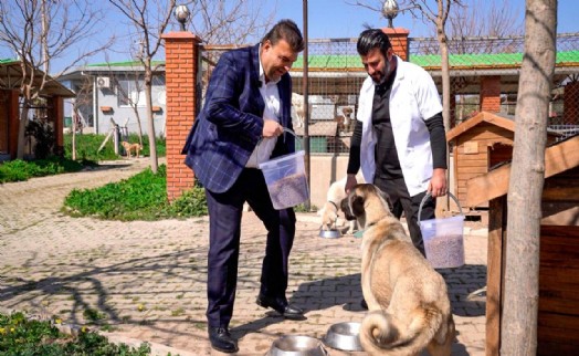 Seferihisar'da atık yemekler sokak hayvanlarına mama oluyor