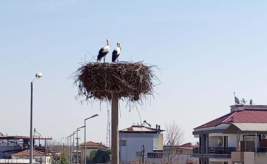 Sümer Köyü'ne bahar geldi!