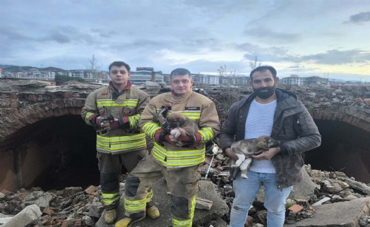 Turgutlu'da kuyuya düşen 3 yavru köpeği itfaiye kurtardı