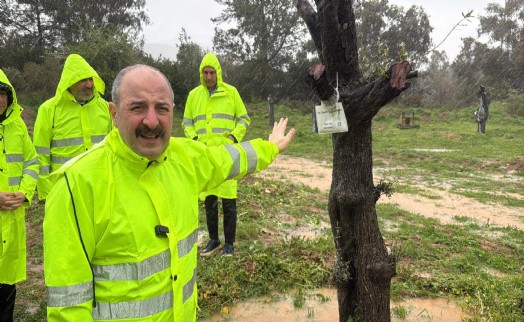 Varank'tan zeytin ve maden mesajı: ‘Ekolojik dengeyi koruyacağız'