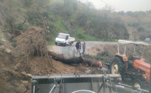 Aydın'da sağanak; istinat duvarı çöktü, bazı evleri su bastı