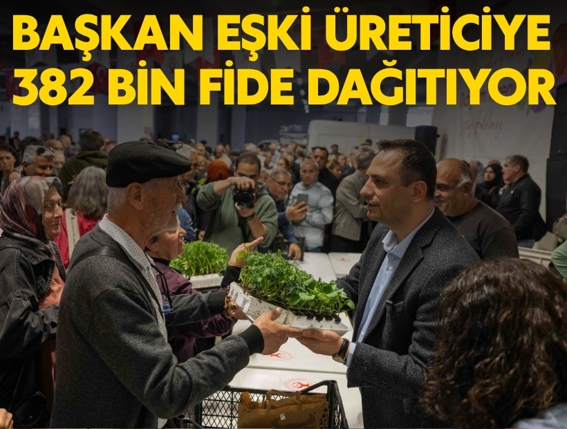 Bornova üreticiye 382 bin fide dağıtacak