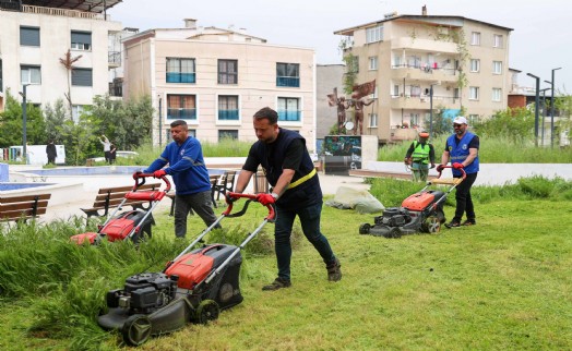 Buca'da bahar temizliği