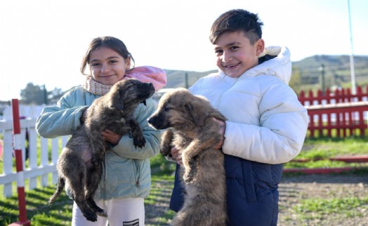 Doğa ve patili dostlar şifa dağıtıyor