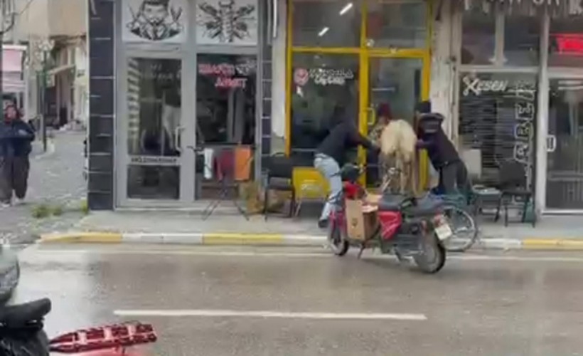 Kaçan inek, berber dükkanı ile çay ocağına sığınmaya çalıştı