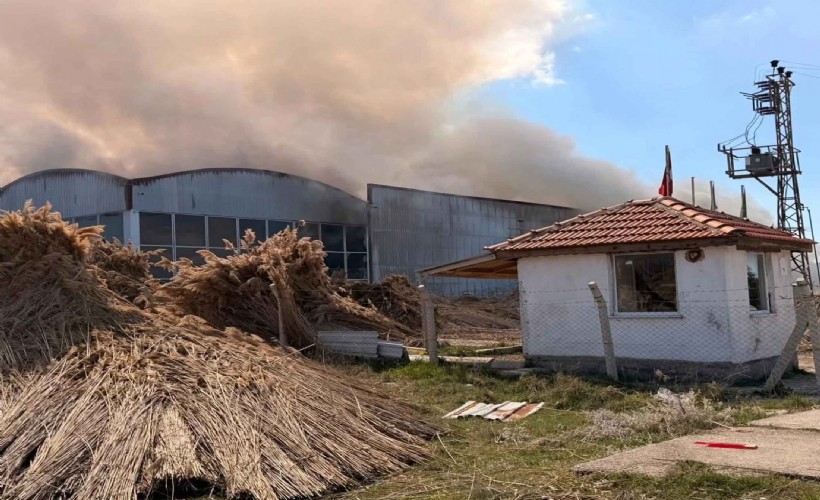Kamış ürünleri deposunda şüpheli yangın!