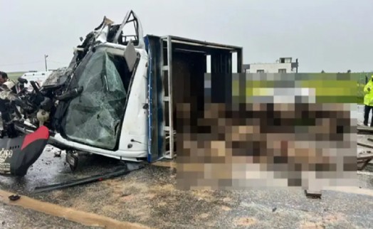 Koyun yüklü kamyonet ile otomobil çarpıştı: 2 kişi öldü, 3 yaralı var