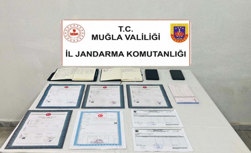 Muğla'da kaçakçılık operasyonlarına 4 tutuklama