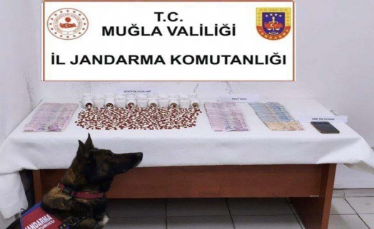 Muğla'da uyuşturucu operasyonları; 3 tutuklama