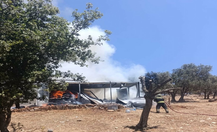Bodrum'da konteynerde yangın çıktı!