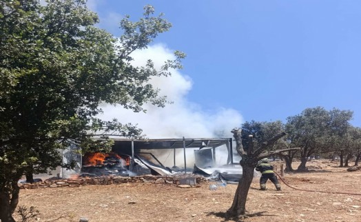 Bodrum'da konteynerde yangın çıktı!