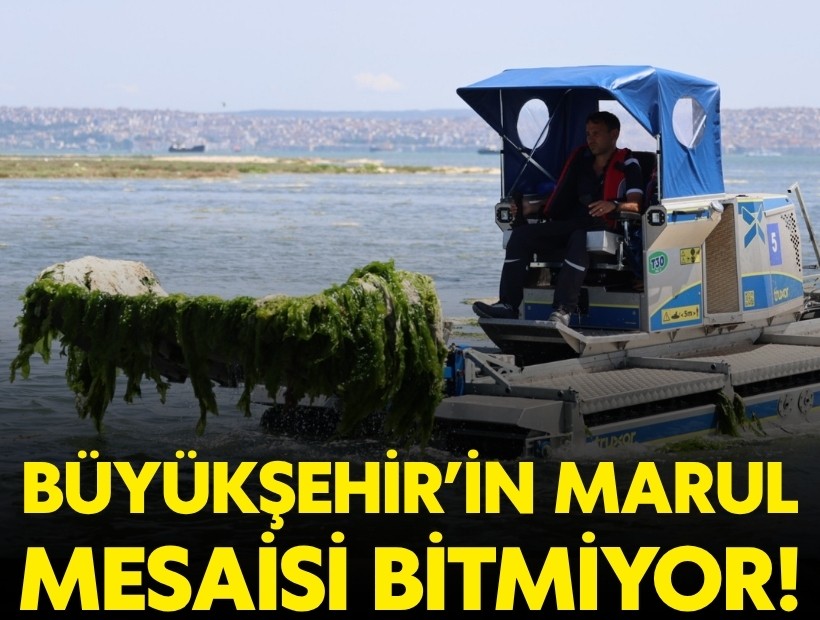 Büyükşehir’den Körfez’de temizlik mesaisi