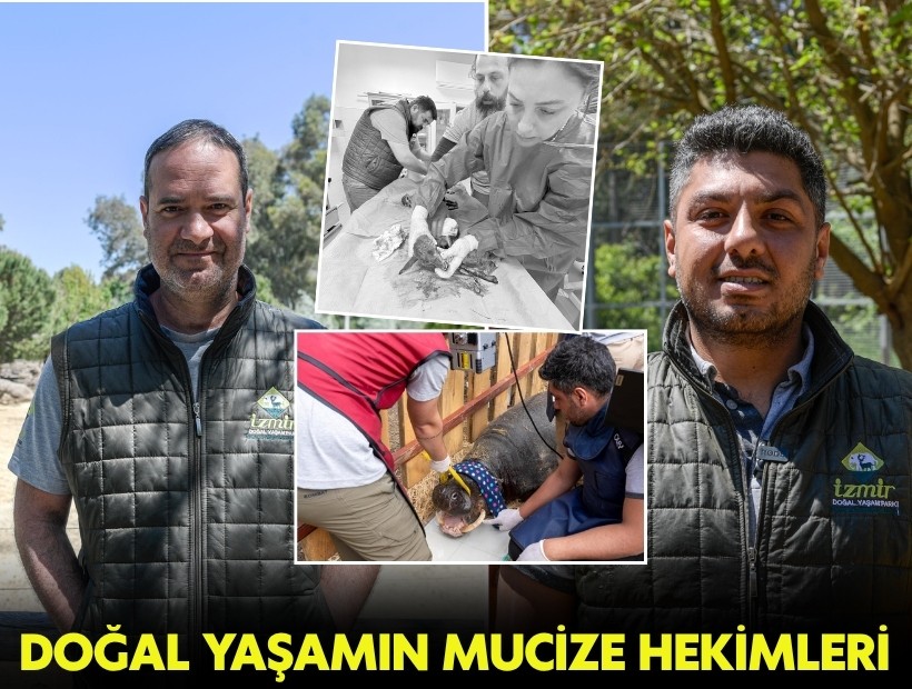 Doğal yaşamın mucize hekimleri
