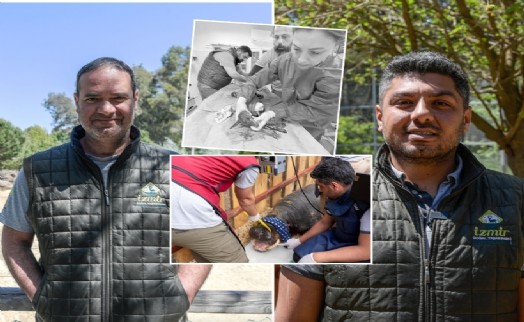 Doğal yaşamın mucize hekimleri