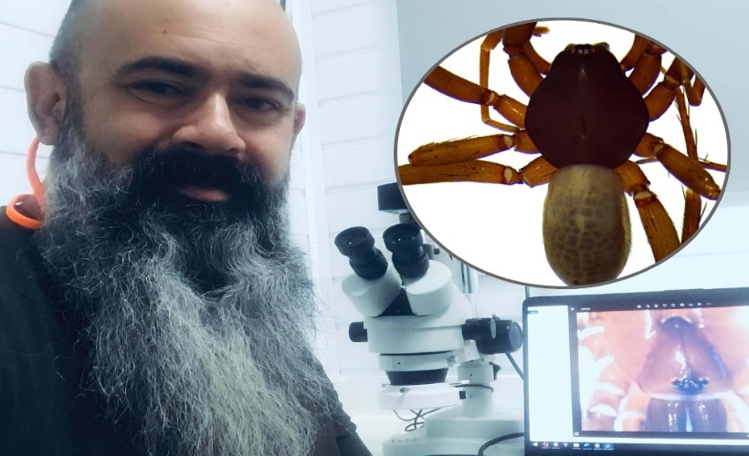 Ege'de 8 yeni örümcek türü keşfedildi