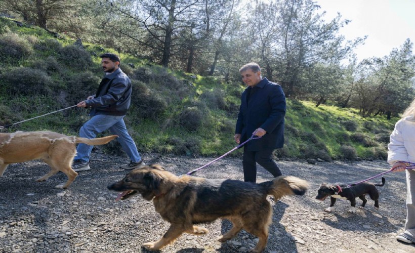 İzmir’de sokak hayvanları için yeni yaşam kampüsü
