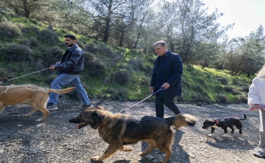 İzmir'de sokak hayvanları için yeni yaşam kampüsü