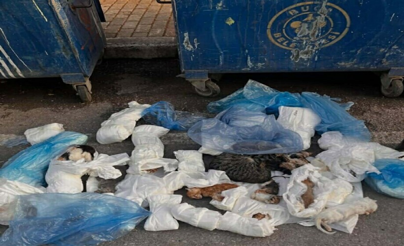 İzmir’de tepki çeken olayda veteriner yeniden gözaltına alındı