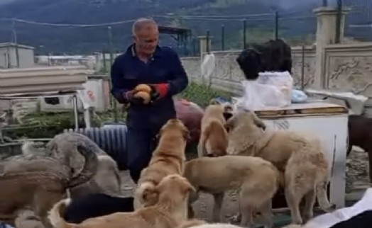 Kendini öğrencilere ve patili canlara adadı