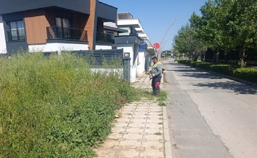 Menderes'te ot seferberliği