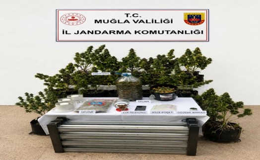Muğla'da bir haftada 9 kişi uyuşturucudan tutuklandı