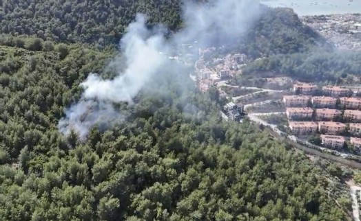 Muğla'da korkutan orman yangını!