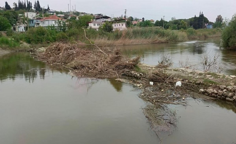 Tarihi Taşköprü'nün üzeri yine atıklarla kaplandı