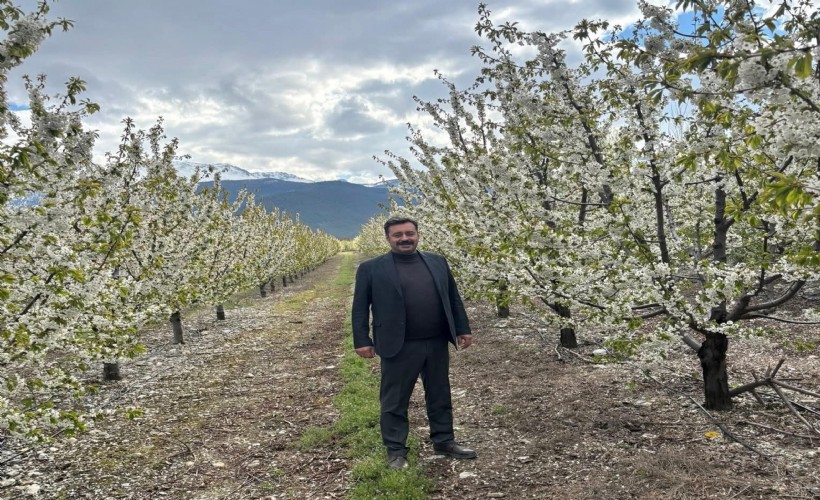 Zirai don endişesi yaşayan üreticiler rahat nefes aldı
