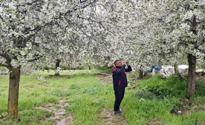 Zirai don ve doğal afetlere karşı saha kontrolü