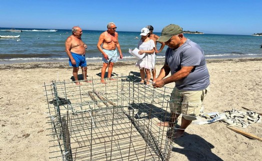 Aydın'da ikinci caretta caretta yuvası da Didim'de tespit edildi