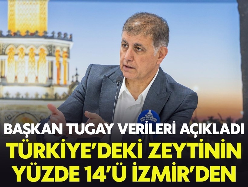 Başkan Tugay verileri açıkladı: Türkiye'deki zeytinin yüzde 14'ü İzmir'den!