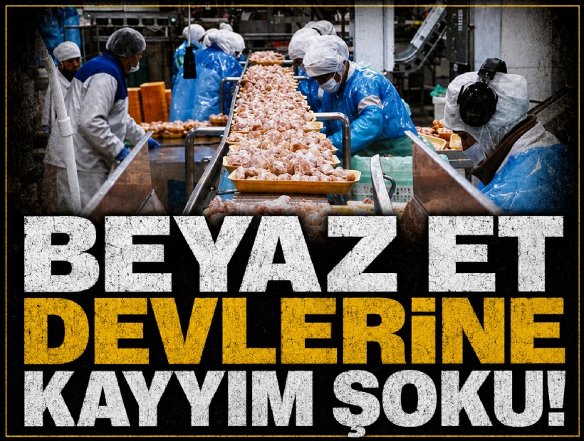 Beyaz et devlerine kayyım şoku!
