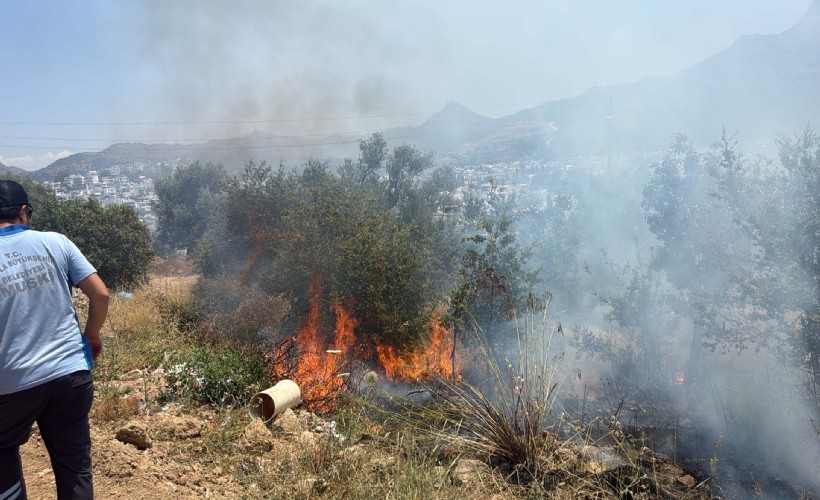Bodrum'da ucuz atlatılan maki yangını