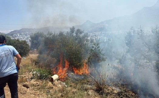 Bodrum'da ucuz atlatılan maki yangını