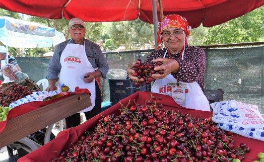 Bornova'da Kiraz Festivali coşkusu Beşyol'u saracak