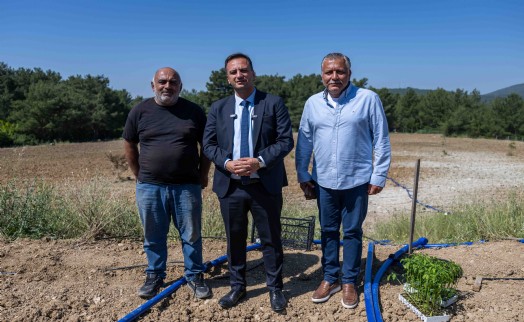Bornova'da atıl topraklar hayat buluyor: Ürünler ücretsiz dağıtılacak