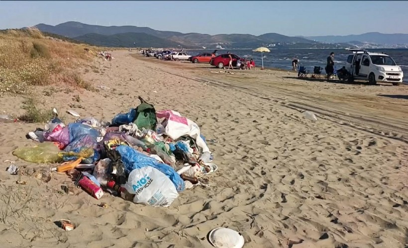 Deniz kaplumbağalarının yuvalama alanı kıyı kumullar tehlike altında!
