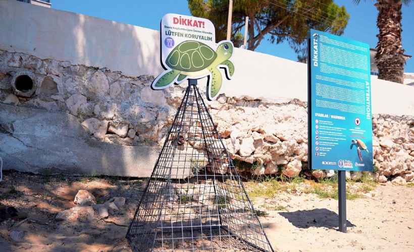 Didim'de caretta caretta yuvaları koruma altına alındı