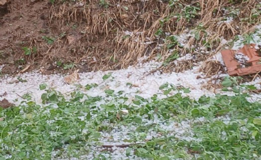Manisa'da dolu yağışı tarım alanlarına zarar verdi