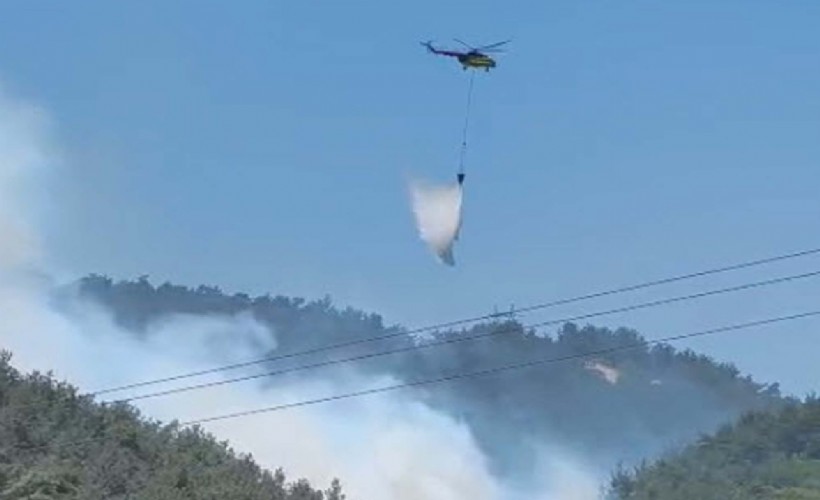 Manisa'daki orman yangını 3.5 saat sonra kontrol altına alındı