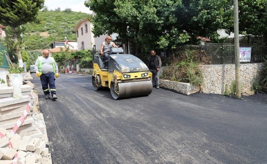 Maydonoz Koyu'nda asfalt çalışması